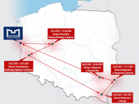Wędrujący trzewik pochwy miecza