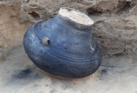 Sesja archeologów w Kostrzynie nad Odrą