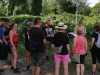 Polandrockowicze na Starym Mieście