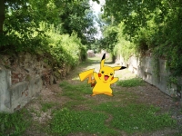 Siedlisko pokemonów na Starym Mieście