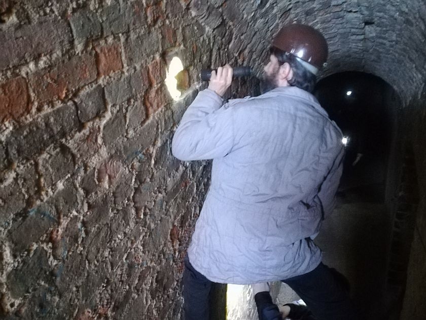 Nietoperze policzone dwa razy