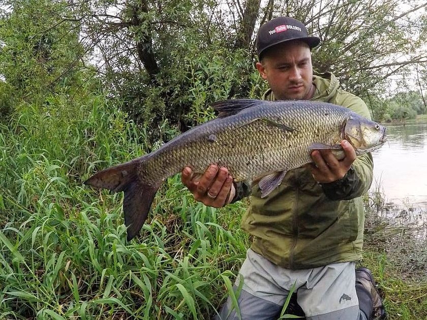 Boleń Camp na Starym Mieście