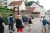 Fotorelacja z wycieczki po Łęgach Odrzańskich