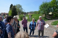 Ein Ausflug nach Górzyca und Lebus mit Adonisröschen im Hintergrund
