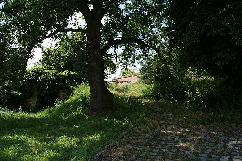 Rekomendacja dla Bastionu Król – pierwszy krok ku renowacji