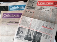 „Celuloza” zdigitalizowana