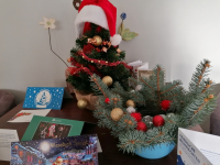 Weihnachtsgrüße
